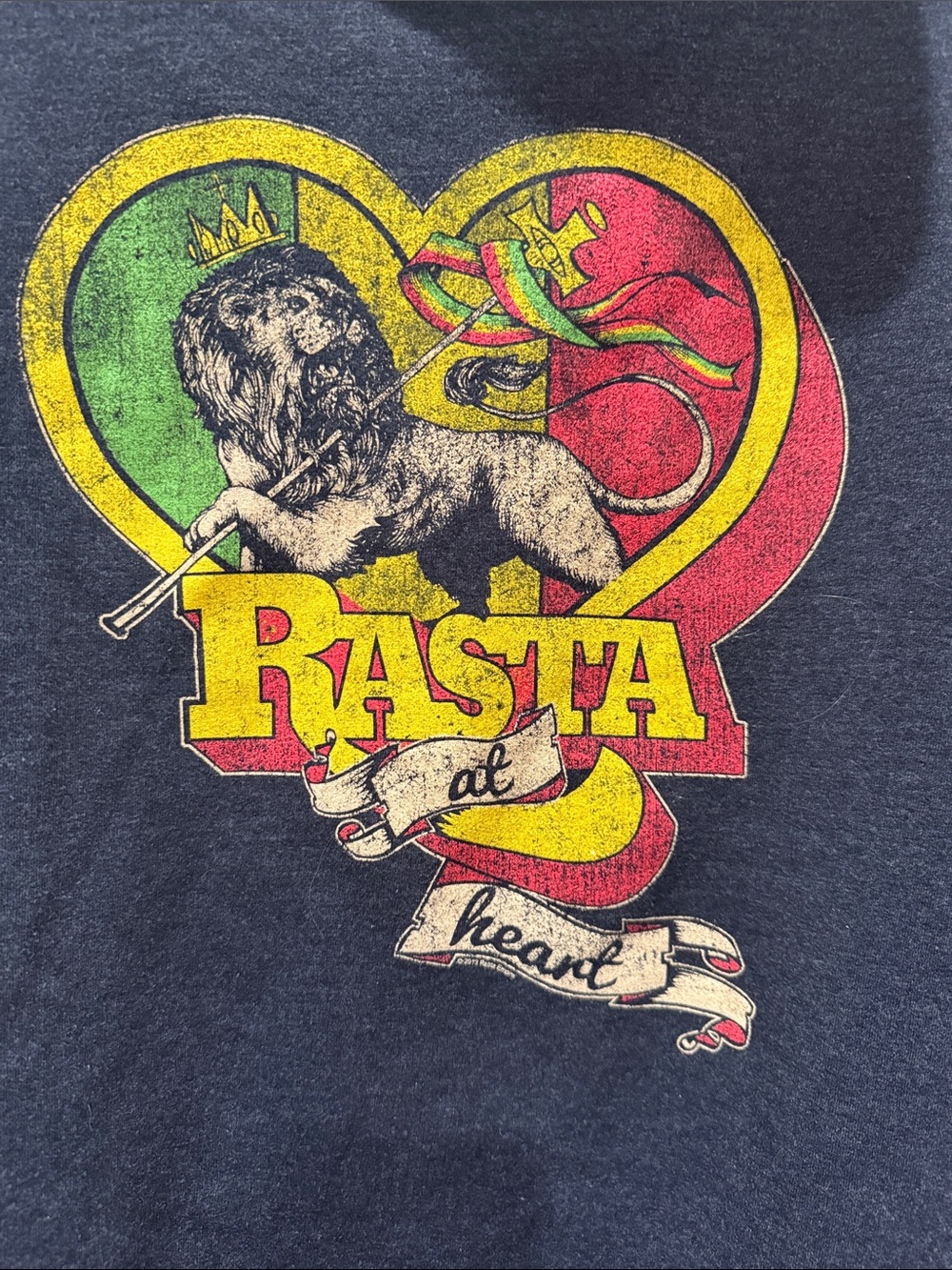 Rasta Heart Graphic zip up hoodie xl